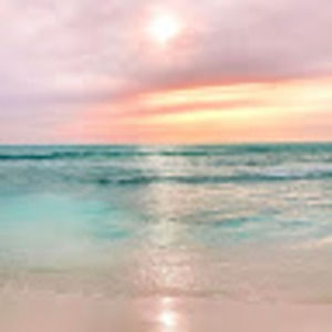 Meet your Posher, Jolie